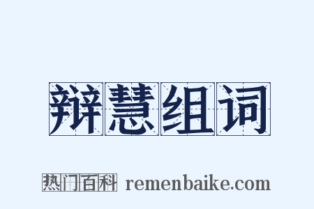 辩慧组词是什么意思的图片